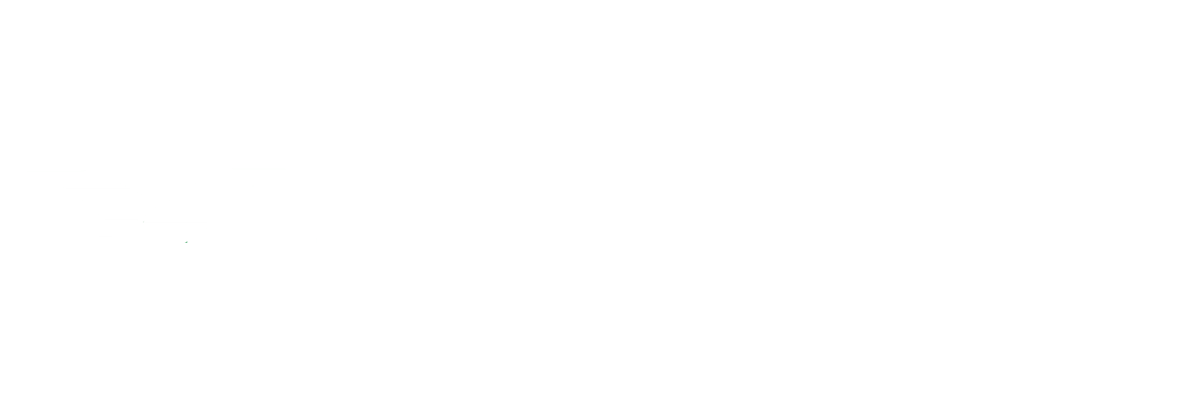 All African Airways